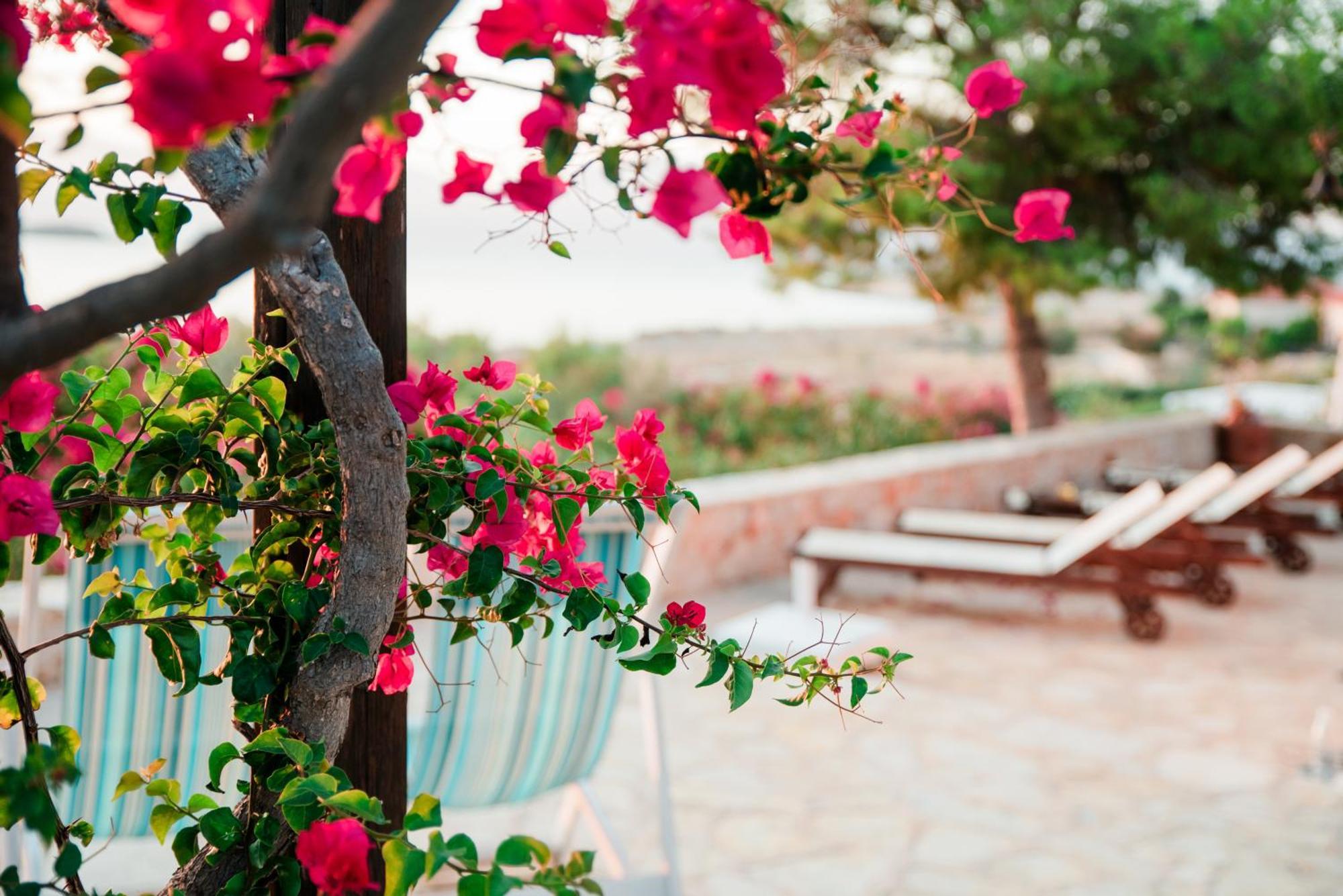 Villa Ftenagia Chalki Town Dış mekan fotoğraf